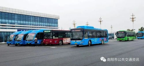11月5日起,南阳新开两条公交线路
